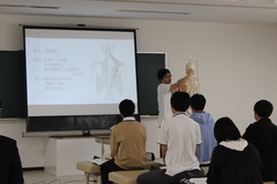 体験実習　骨模型.JPG